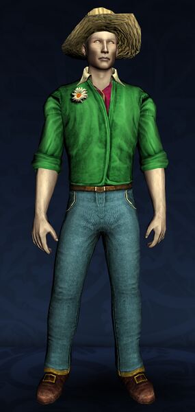File:Sightseer's Full Outfit.jpg