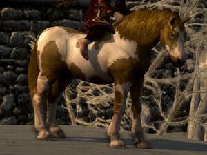 Tobiano Coat: Seal Brown