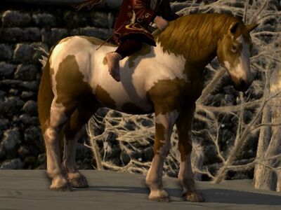 Tobiano Coat: Seal Brown