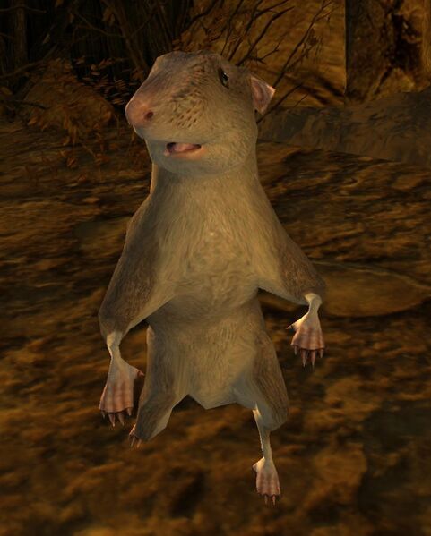 File:Vicious Rat (Hurum Kâna).jpg
