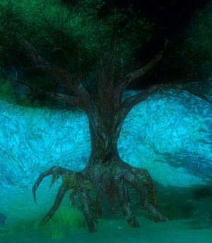 Haunted Oak.jpg