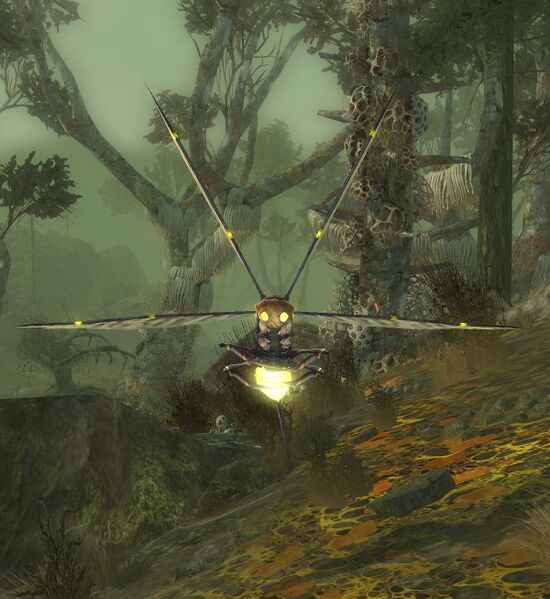 File:Serrated Corpse-fly.jpg