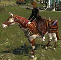 Fireworks Laden Steed