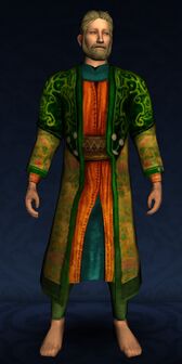 Robe of the Wedmath Celebration