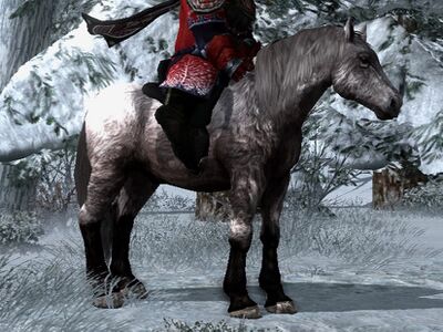 Shaggy Roan Coat: Dark Grey