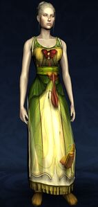 Sleeveless Dress of the Moth