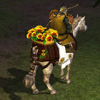 Name: Rear View of Sunflower Steed