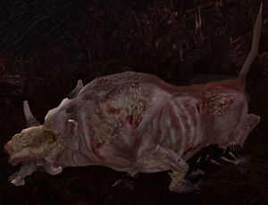 Diseased Swamp-boar (Mokál Rukh).jpg