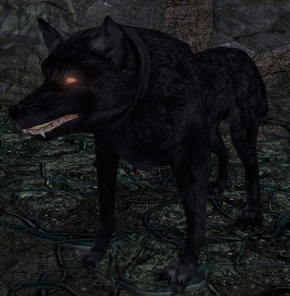 File:Shadow-wolf Elder.jpg