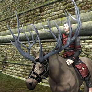 Silvan War Antlers