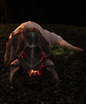 Bloated Pit-crawler - Lotro-Wiki.com