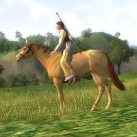 Image of Blonde Sorrel Horse