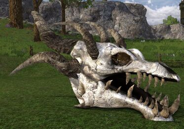 Large Dragon Skull