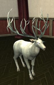 Majestic White Stag