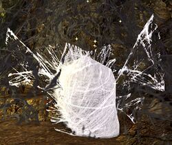 Image of Spider Web Patch