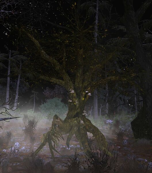 File:Adagím Rotting Moulder-wood (Mission).jpg