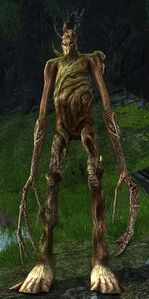Image of Twig