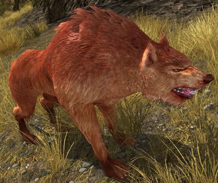 File:Warg Bone-chewer.jpg