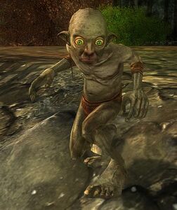 Image of Memory of the Creature