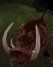 Old Bloodtusk