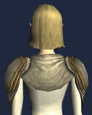 Back