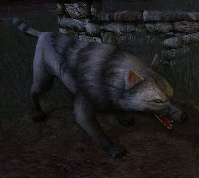 File:Hunting Pack-wolf.jpg