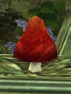 Image of Red Mushroom