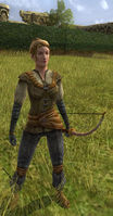 Swordswoman Herald Archer