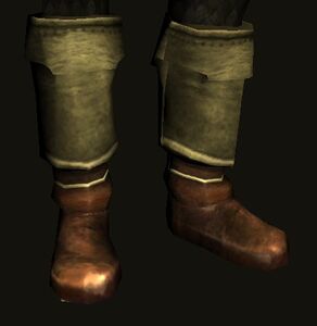 Town-saver's Boots
