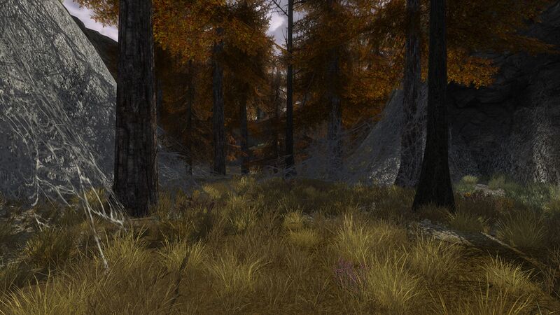 File:The Snares 3.jpg