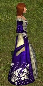 Bride's Dress