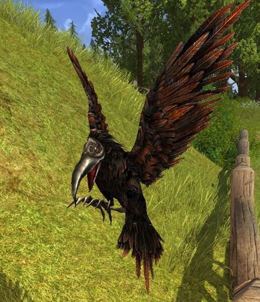 File:Soot-feathered Crow.jpg