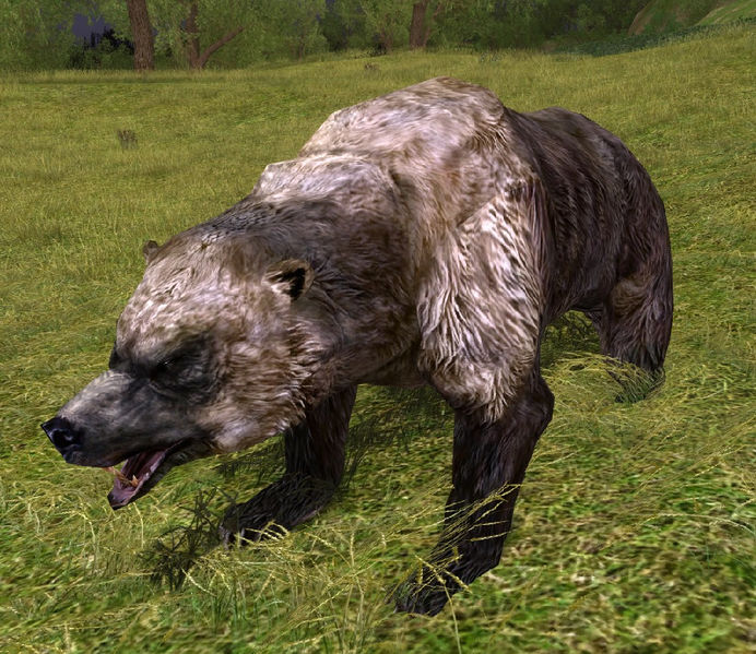 File:Wildpaw-bear appearance.jpg