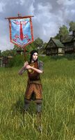 Elvish Maid-at-arms Herald of War