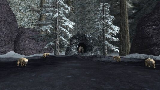 Coldbear's den