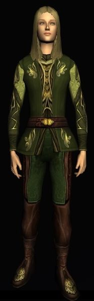 File:Lasgalen Spring Tunic and Trousers (front).jpg