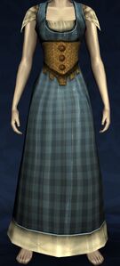 Picnic Dress