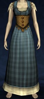 Picnic Dress