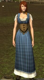 Picnic Dress