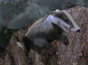 Image of Gloomglens Badger