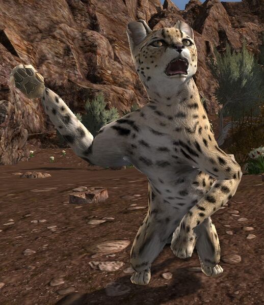 File:Idagâl Serval.jpg