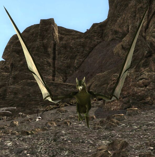 File:Wild-drake Youngling.jpg