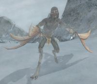One of Bogrian's Defilers at the Searcher's Eyrie on the slope of Zirakzigil.
