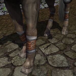 Heavy Leggings of the Norcrofts