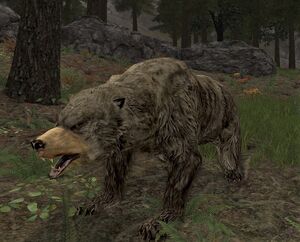 Maddened Vale-bear - Lotro-Wiki.com