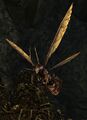 Thumbnail for version as of 05:22, 2 July 2025
