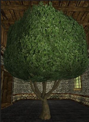 Large Cube-shaped Topiary