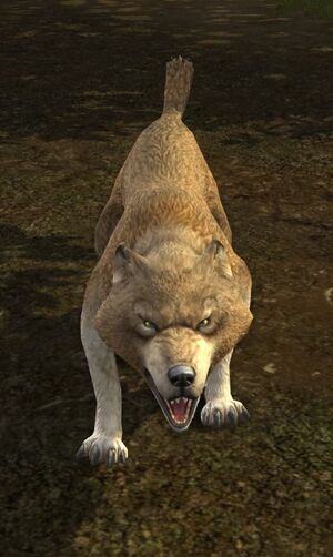 Skunkwood's Wolfhound.jpg