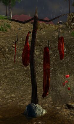 Image of Area for Third Trap