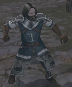 Image of Borndir